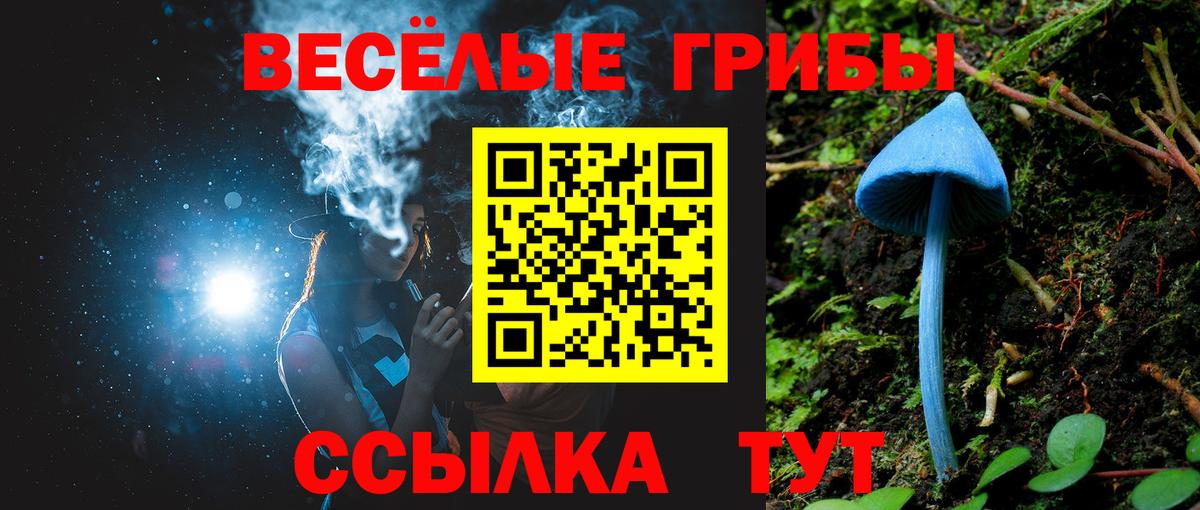 Ликино-Дулёво  Псилоцибиновые грибы прущие грибы  Вход с VPN  Псилоцибиновые грибы GOLDEN TEACHER 