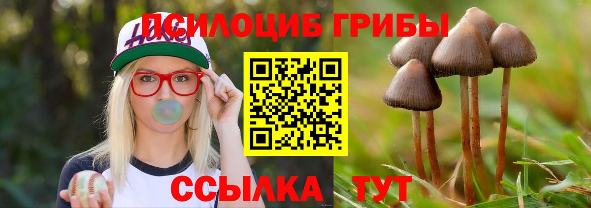 Галлюциногенные грибы Psilocybe Ликино-Дулёво